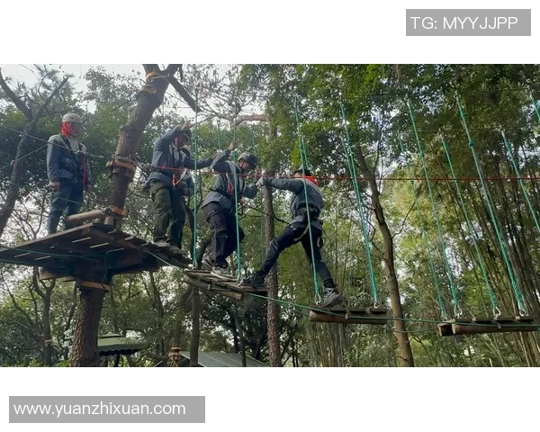 南京极限运动队灵活性变革引发热议探索新趋势与挑战