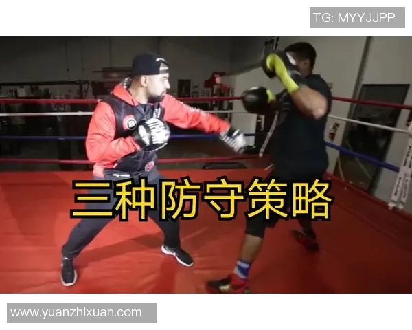 深圳排球队防守策略解析与战术应用探讨